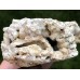 Chalcedon